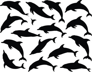 Silhouettes of dolphins in varied poses and orientations — aquatic motion reference for design, education, and marine life illustration