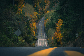 PNW fall highway