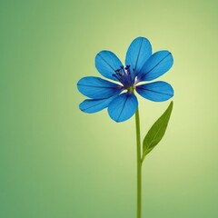 Cinemagraph of a delicate blue flower gently swaying on a soft light-green background. 7