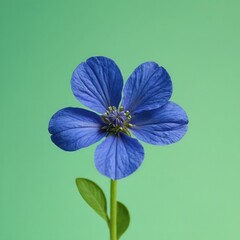 Cinemagraph of a delicate blue flower gently swaying on a soft light-green background. 4