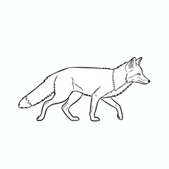 Simple Line Drawing of a Fox Walking