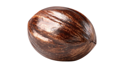 Nutmeg seed standing isolated on a transparent background, a flavorful spice enhancing culinary dishes and drinks