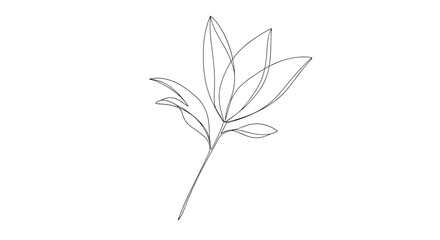 Obraz premium Modern minimalist line art illustration of a botanical plant stem with leaves, created with elegant, dashed and continuous lines.