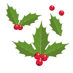 Holly. Set of vector icons.