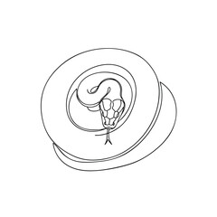 Elegant Line Art of a Swirl Design Element