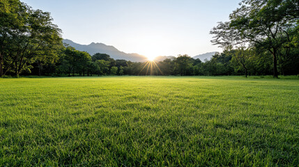 Sunrise over green meadow with distant mountain silhouette and lush trees