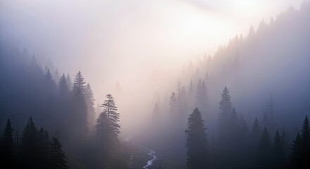 Obraz premium A scenic view of a foggy forest valley with trees silhouetted against a bright sunrise.