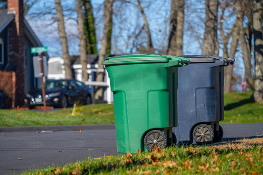 trash bin and recycling bin lined up at the street curb