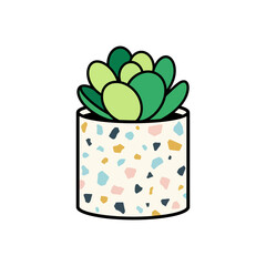 succulent in terrazzo pot adding a touch of modern style to home decor ideal for minimalist interiors and urban gardening enthusiasts