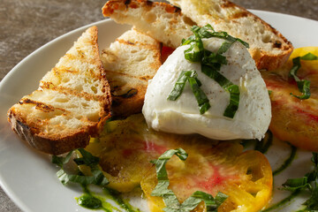 A closeup view of a plate of burrata and toast.