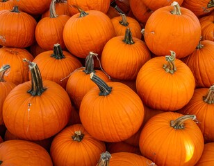 Close-up view of a pile of freshly picked, vibrant orange pumpkins