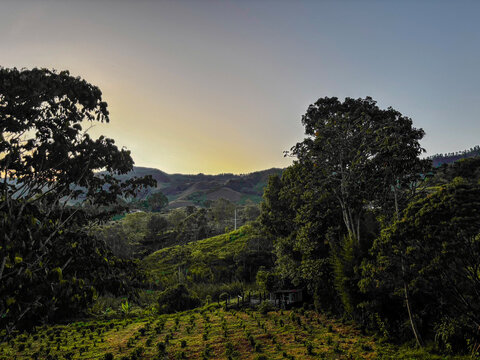 Colombian Coffee Fields in Jeric&oacute;, Antioquia