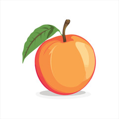 Peach fruit illustration