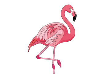 Pink Flamingo Standing on One Leg