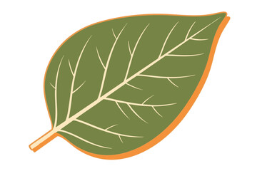 Green Leaf Illustration