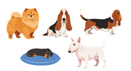 A vibrant illustration showcasing different dog breeds, including a fluffy Chow Chow, Basset Hounds, a sleeping Dachshund, and a white Bull Terrier.