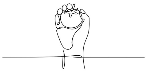 Continuous line art drawing of a human hand gently holding a fresh, ripe red tomato, symbolizing healthy eating, organic food, and nature. Vector, illustration