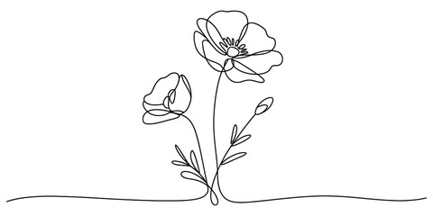 Continuous line drawing of two delicate poppy flowers and a budding floral element, an elegant botanical illustration with a simple artistic flow style. Vector, illustration