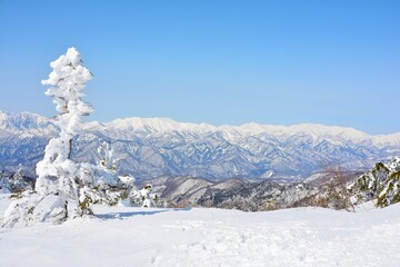 雪の武尊山山頂の樹氷と越後の山々