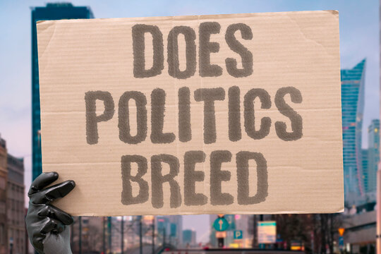 "Does Politics Breed" Systems foster corrupt behavior. DOES. POLITICS. BREED. SYSTEMS. BEHAVIOR.