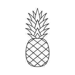 Obraz premium Line drawing of a pineapple with a detailed texture and leafy top against a clean white background.