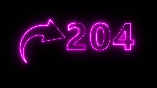 Neon business counter number. Neon count number 204 on black background. Neon count number.