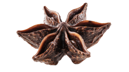 Dried star anise spice showing unique star shape and texture, aromatic cooking ingredient close-up on transparent background