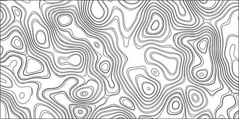 Fototapeta premium Abstract topographic lines pattern flowing over a white background with a modern design