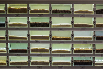A wall-mounted grid of transparent containers displaying various grains and seeds, illuminated for educational or culinary use.