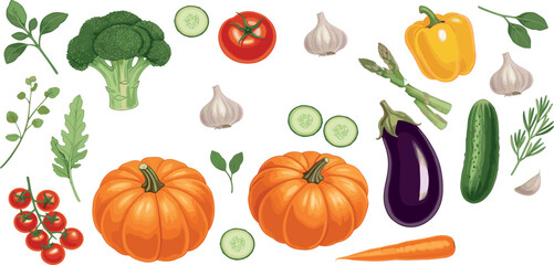 Colorful fresh vegetables set including pumpkin broccoli tomato cucumber eggplant carrot pepper garlic and herbs in detailed vector illustration