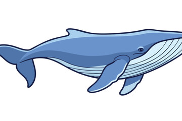 Obraz premium Illustration of a blue whale swimming