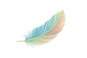 Soft Watercolor Feather Illustration