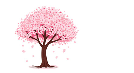 Obraz premium Beautiful blooming cherry blossom tree with pink flowers and falling petals, a symbol of spring in Japan, on a white background.