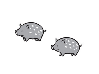 かわいいウリ坊　イノシシ　猪