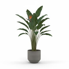 Potted green houseplant with tropical foliage and a fresh flower in a decorative flowerpot