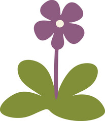 Purple woodland flower