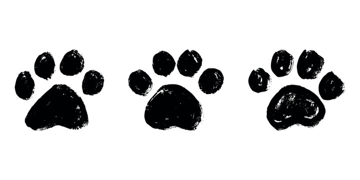 Set of hand drawn cute cat's paw Cat, dog, animal footprint in doodle style Single element for print, web, design, decor, greeting cards, children's prints