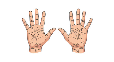 Fototapeta premium Detailed illustration of two open human palms showing the intricate lines and creases used in the practice of palmistry or chiromancy.
