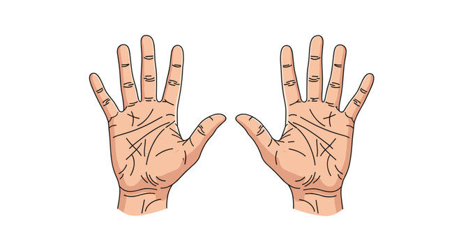 Detailed illustration of two open human palms showing the intricate lines and creases used in the practice of palmistry or chiromancy.