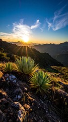 Scenic mountain vista captures a vibrant sunrise over layered peaks, framed by succulents