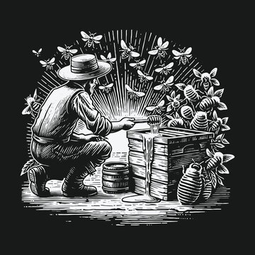 Vintage beekeeper harvesting honey from a wooden beehive illustration.