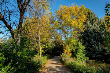 walking path in fall