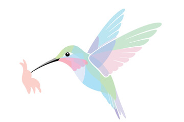 Fototapeta premium Hummingbird Feeding Young Bird on White Background