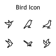 Creative bird icon set featuring flying bird symbols, wildlife elements, nature graphics and modern flat bird illustrations for web and app design.