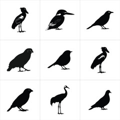 Fototapeta premium Set of nine different bird species silhouettes isolated on white background