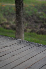 Fototapeta premium Horizontal gray weathered wooden planks surface with blurred green grass and earth background, empty space for product placement, presentation, or text.