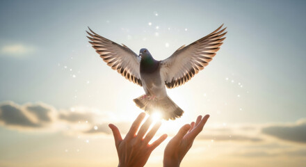 Dove taking flight from open hands with a bright sky and sun flare, symbolizing hope and freedom. Serene outdoor scene of peaceful release.
