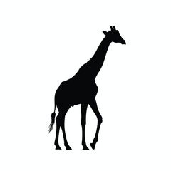 Obraz premium Giraffe Silhouette Illustration