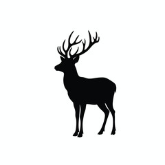 Obraz premium Silhouette of a majestic stag with large antlers
