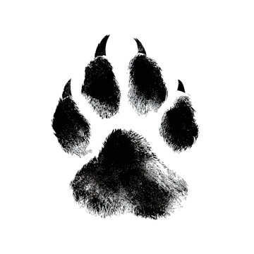 A fuzzy black paw print with textured details on a dark background